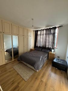 a bedroom with a bed and a large mirror at Alin Duna in London