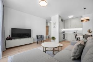 ein Wohnzimmer mit Sofa und Fernseher in der Unterkunft Brand New, Cozy Free parking apartment in Bratislava