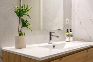 a bathroom with a sink and a potted plant at Luxury Style 6 with AC Downtown Porto near Metro in Porto +12 photos