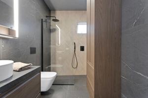 a bathroom with a shower with a toilet and a sink at New Charming Apartment in Reykjavík