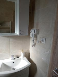 Vannituba majutusasutuses Apartmani Hilston