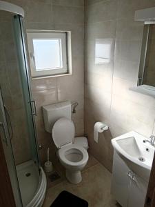 Vannituba majutusasutuses Apartmani Hilston
