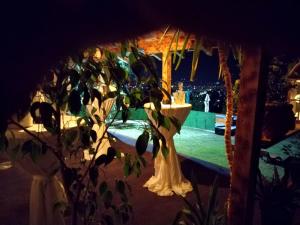 a plant in front of a gazebo at night at Zatežića vidikovac in Čačak +131 photos