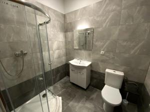 a bathroom with a shower and a toilet and a sink at Saraya Wellness & Penzion in Teplice