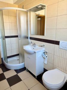 a bathroom with a sink and a toilet and a mirror at Miyabi 1 in Maribor
