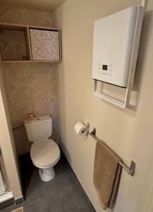 a small bathroom with a toilet and a microwave at Suite Lodge cocon in Lyon +43 photos