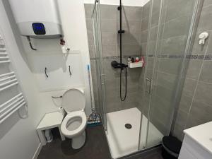 a small bathroom with a toilet and a shower at Studio Lapalisse chez Pierre et Delphine in Lapalisse