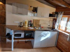 a kitchen with a counter with a microwave and a sink at Studio indépendant in Sigournais