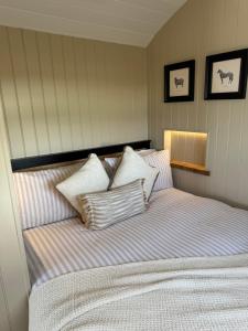coastal view shepherds hut with hot tub客房内的一张或多张床位