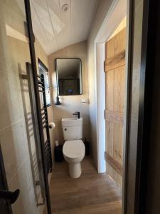 coastal view shepherds hut with hot tub的一间浴室