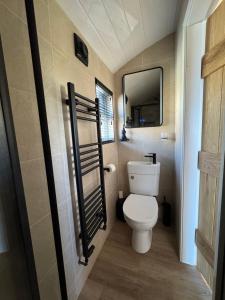 coastal view shepherds hut with hot tub的一间浴室