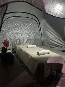 Toys suites hotel客房内的一张或多张床位