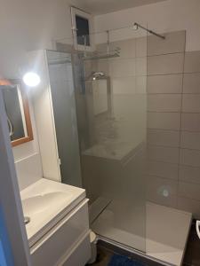 a bathroom with a glass shower and a sink at Appartement Cosy in Manosque +11 photos