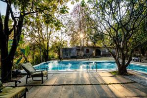 a swimming pool with a chair next to a tree at Mahua Vann Pench in Khawāsa