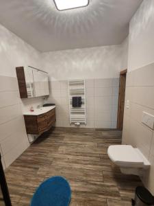 a bathroom with a toilet and a sink at BS Monteurunterkunft BE1 in Bergisch Gladbach