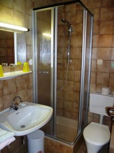 ein Bad mit einer Dusche, einem Waschbecken und einem WC in der Unterkunft Hotel Vital Bad Bleiberg in Bad Bleiberg
