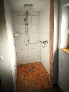 a bathroom with a shower with a tile floor at Das Burgberghaus Apartment Auwald in Hürtgenwald +26 photos