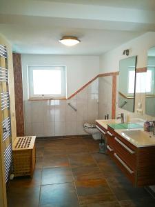 a bathroom with a sink and a toilet and a mirror at Das Burgberghaus Apartment Auwald in Hürtgenwald