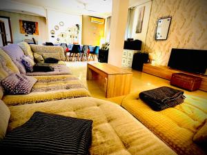 TV a/nebo společenská místnost v ubytování Casa Rural a 4km de Murcia con piscina y spa caliente