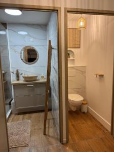 un bagno con lavandino e WC di T2, Balneo, sauna, lit rond, jeux arcades, parking a Tournefeuille
