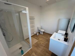 a bathroom with a shower and a sink and a toilet at Appart Cosy in Hesdin