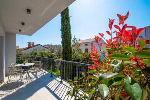 Balkón nebo terasa v ubytování CITY LIFE with free parking