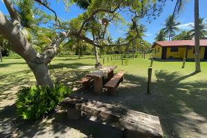 a park with a bench next to a tree at Casa do Coqueiral - Moreré in Moreré