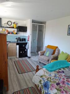a living room with a bed and a kitchen at Little Pedn in Penzance
