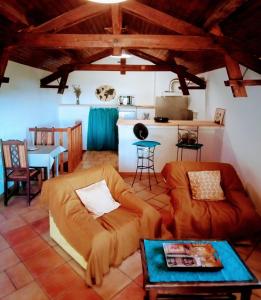 een woonkamer met een bank en een keuken bij Gîte de la brasserie in Prayssac