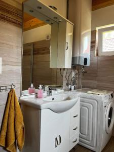 a bathroom with a sink and a washing machine at PontyParádé in Fonyód