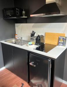 ヴィルヌーヴ・シュル・ロットにあるCinéma Room - Immersion Total pour Cinéphile !のキッチン(シンク、コンロ、食器洗い機付)