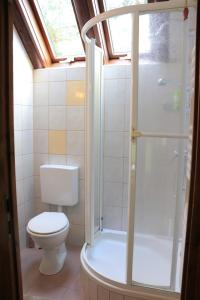 a small bathroom with a toilet and a shower at Ferienhaus 87 am Silbersee in Frielendorf