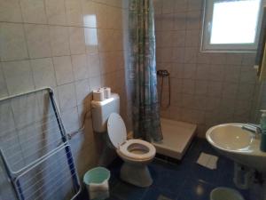 Koupelna v ubytování Apartment Lea