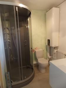 ein Badezimmer mit Dusche und Toilette in der Unterkunft Apartment LA ROCHETTE free parking on site in Guillestre