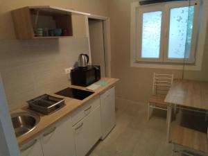 Kuchyň nebo kuchyňský kout v ubytování Apartment Lea