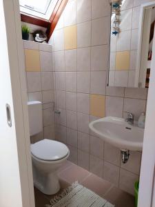 a bathroom with a toilet and a sink at Ferienhaus 87 am Silbersee in Frielendorf