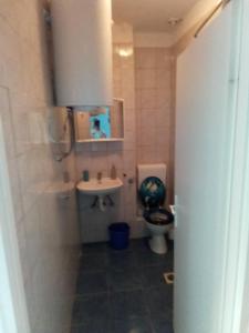 Koupelna v ubytování Apartment Lea