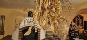 Dolní PěnaPenzion U Obludy的相册照片 更多36张照片