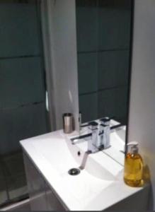 La salle de bains est pourvue d'un lavabo et d'un miroir. dans l'établissement Studio Chic de charme !, à Bordeaux 23 autres photos