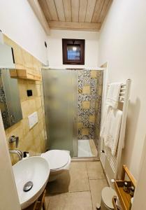 a bathroom with a shower and a toilet and a sink at Grace Home in Tricase +27 photos