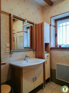 een badkamer met een wastafel en een spiegel bij Chez courrier in Razecueillé