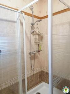 een douche met een glazen deur in een badkamer bij Chez courrier in Razecueillé +7 foto's
