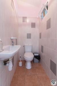 een badkamer met toilet en wastafel bij Saint martin 2 in Beaumont-sur-Lèze +15 foto's