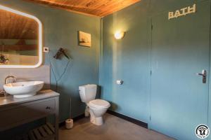 a bathroom with a toilet and a sink at Le gîte des oiseaux in Montbernard +35 photos