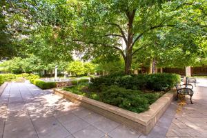 a park with benches and trees and a fountain at Prime Location! Spacious & Comfy in Arlington