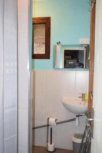a bathroom with a sink and a toilet at Gîte les ecureuils in Montclar-de-Comminges +19 photos
