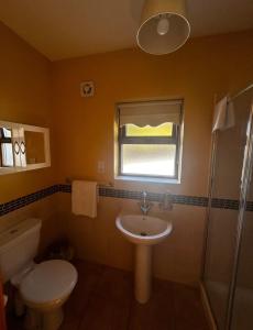 a bathroom with a sink and a toilet and a window at Yewwood Cottage in Newry +13 photos