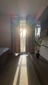 a room with a bed and a window with a potted plant at Ferienwohnung Fürstenberg - Storch in Fürstenberg-Havel +17 photos