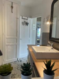 a bathroom with a sink and two potted plants at Villa Volclair Spacieux Duplex à 50m de la plage in Mers-les-Bains +14 photos