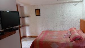 a small bedroom with a bed and a flat screen tv at Hospedaje Las Cabañas in Monguí